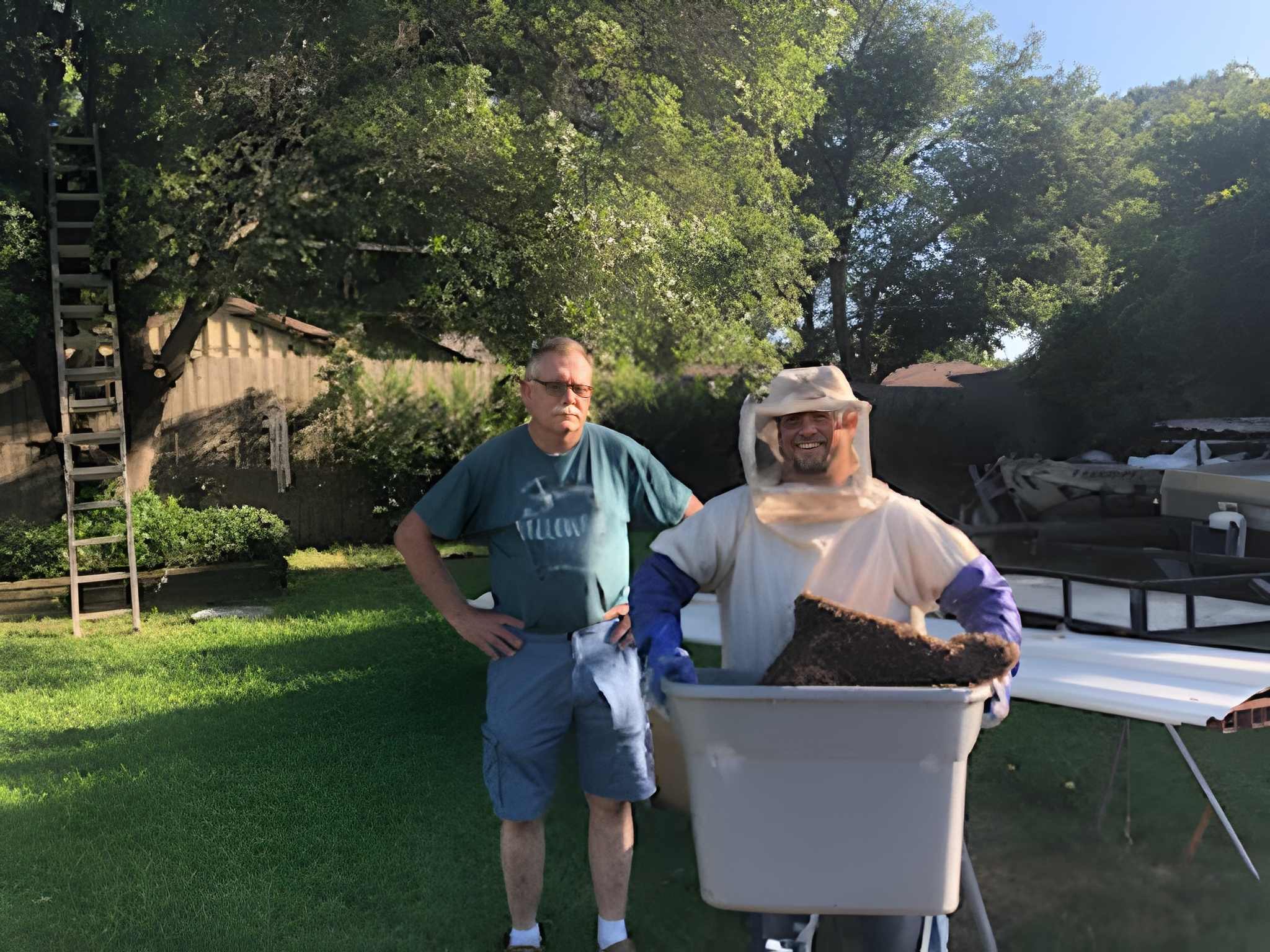 How Fort Worth Homeowners Can Safely Handle a Backyard Bee Problem